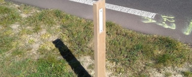biobased bermpaal