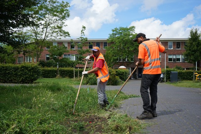 Groenonderhoud Leiden-West