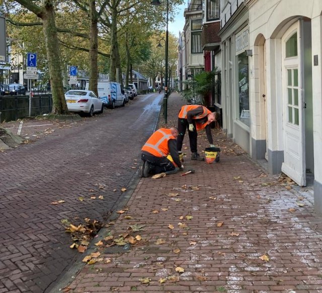 Stolpersteine Gouda