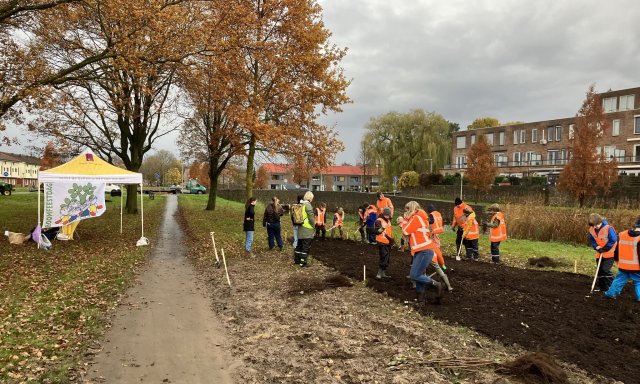 Boomfeestdag Arnhem 2024