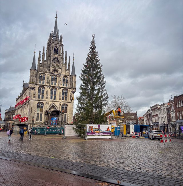 Kerstboom Gouda