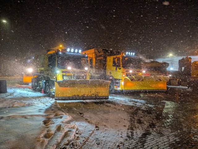 Gladheidsbestrijding