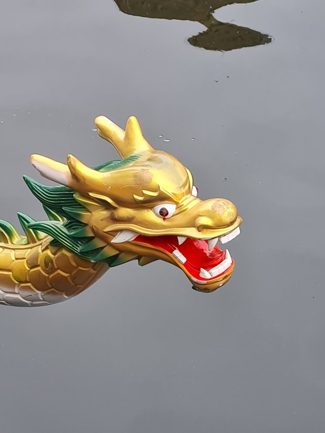 Drakenbootrace Gorinchem