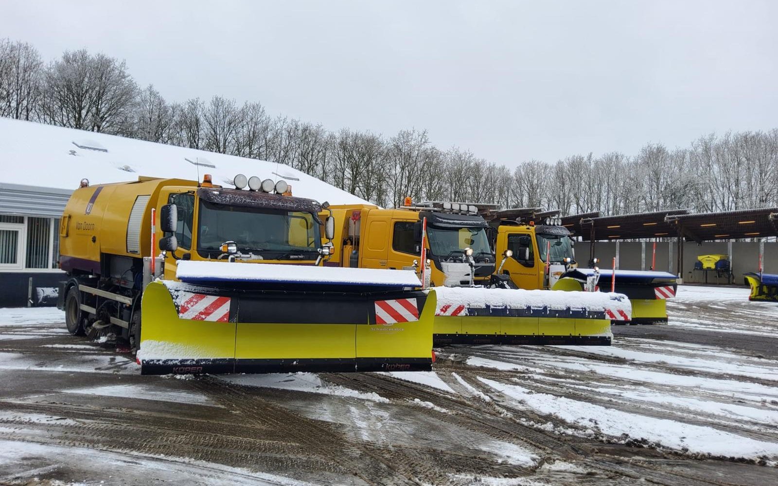 Gladheidsbestrijding