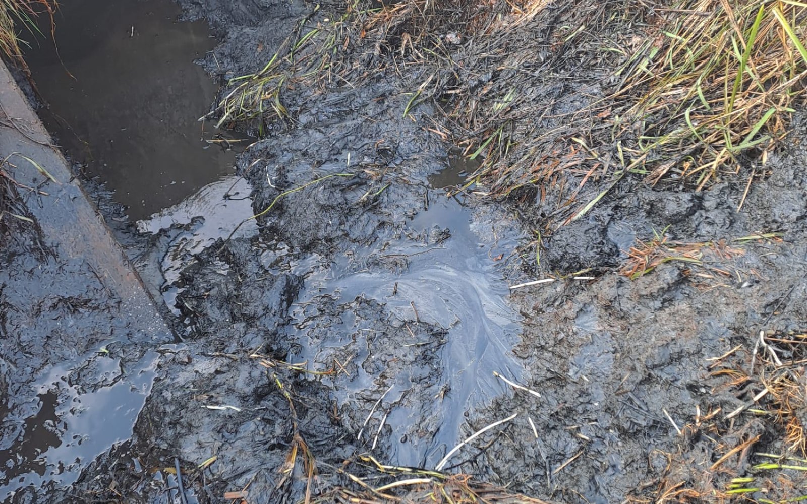 Reiniging en inspectie duikers