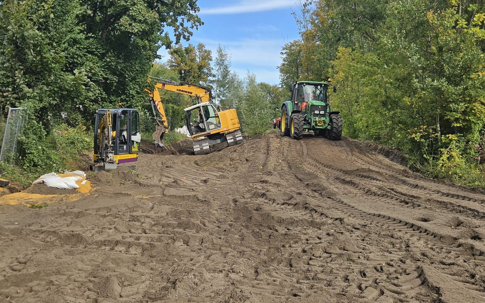 Japanse Duizendknoop bestrijden