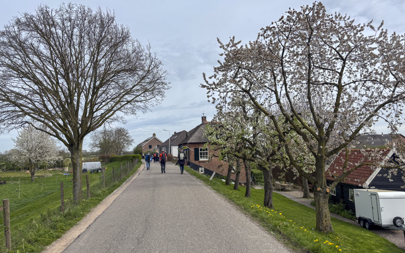 Van Doorn sponsort Betuwse Bloesemtocht